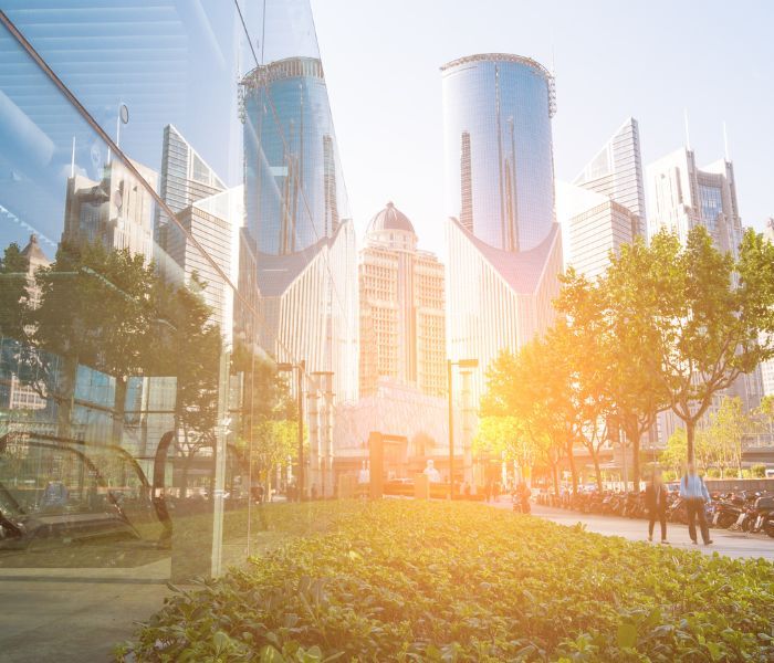 Design for Belonging – Create Workspaces that Work for Everyone